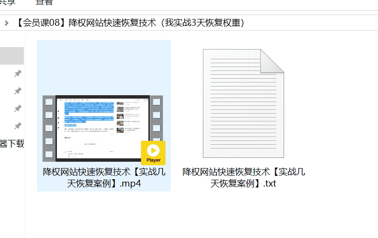 图片[3]-【会员课08】降权网站快速恢复技术（我实战3天恢复权重）-猎富团