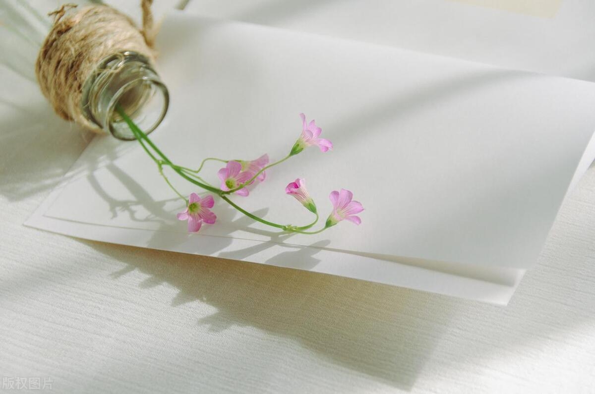 “微信潜规则”:令人反感的几种聊天方式,希望你一个也没有