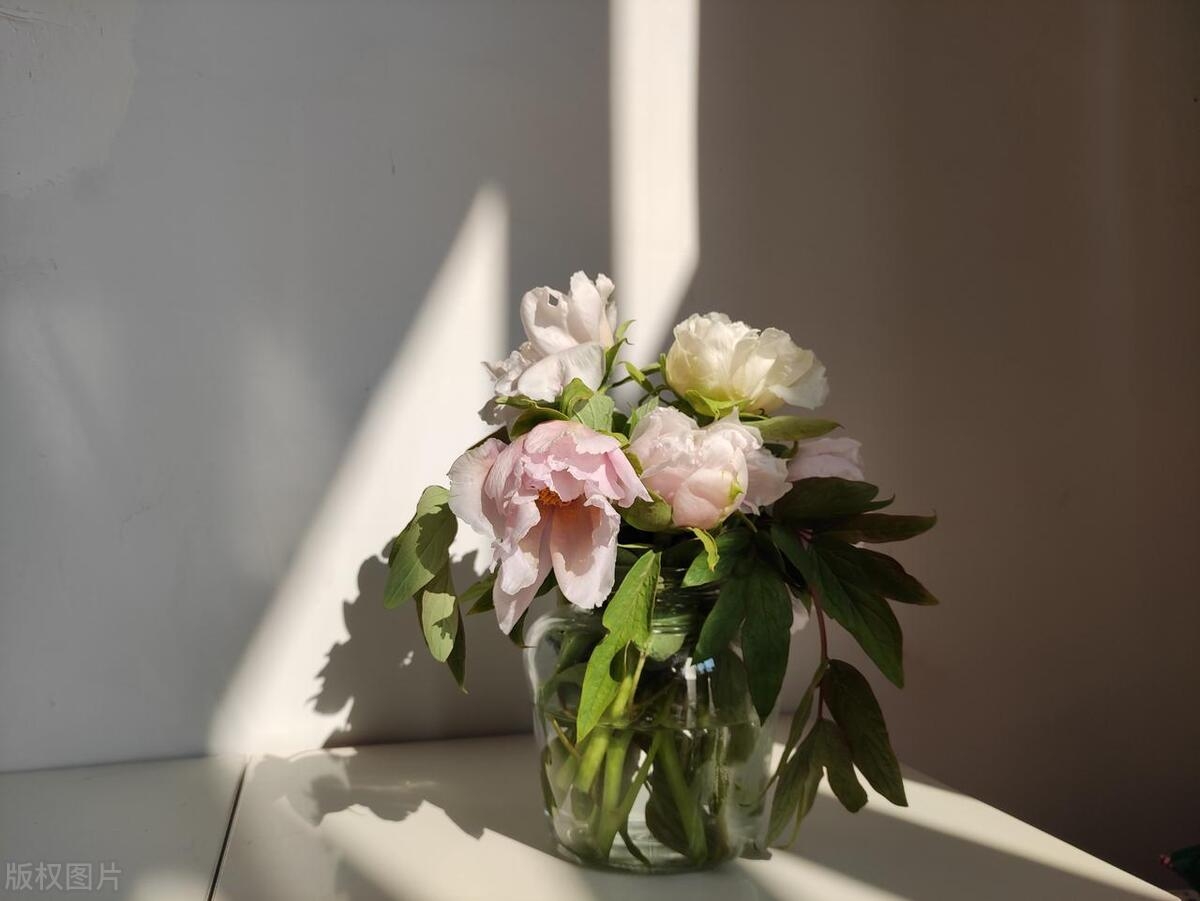 “微信潜规则”:令人反感的几种聊天方式,希望你一个也没有