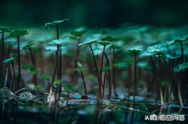 图片[6]-景深是什么意思？如何利用？弄明白这景深3要素就会了-猎富团