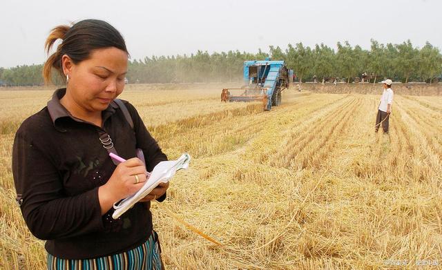 农村致富秘籍曝光!4种生意让你赚翻天