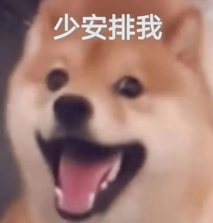 从政府补贴到开设养老自助餐厅，揭秘一个具有巨大潜力的创业项目