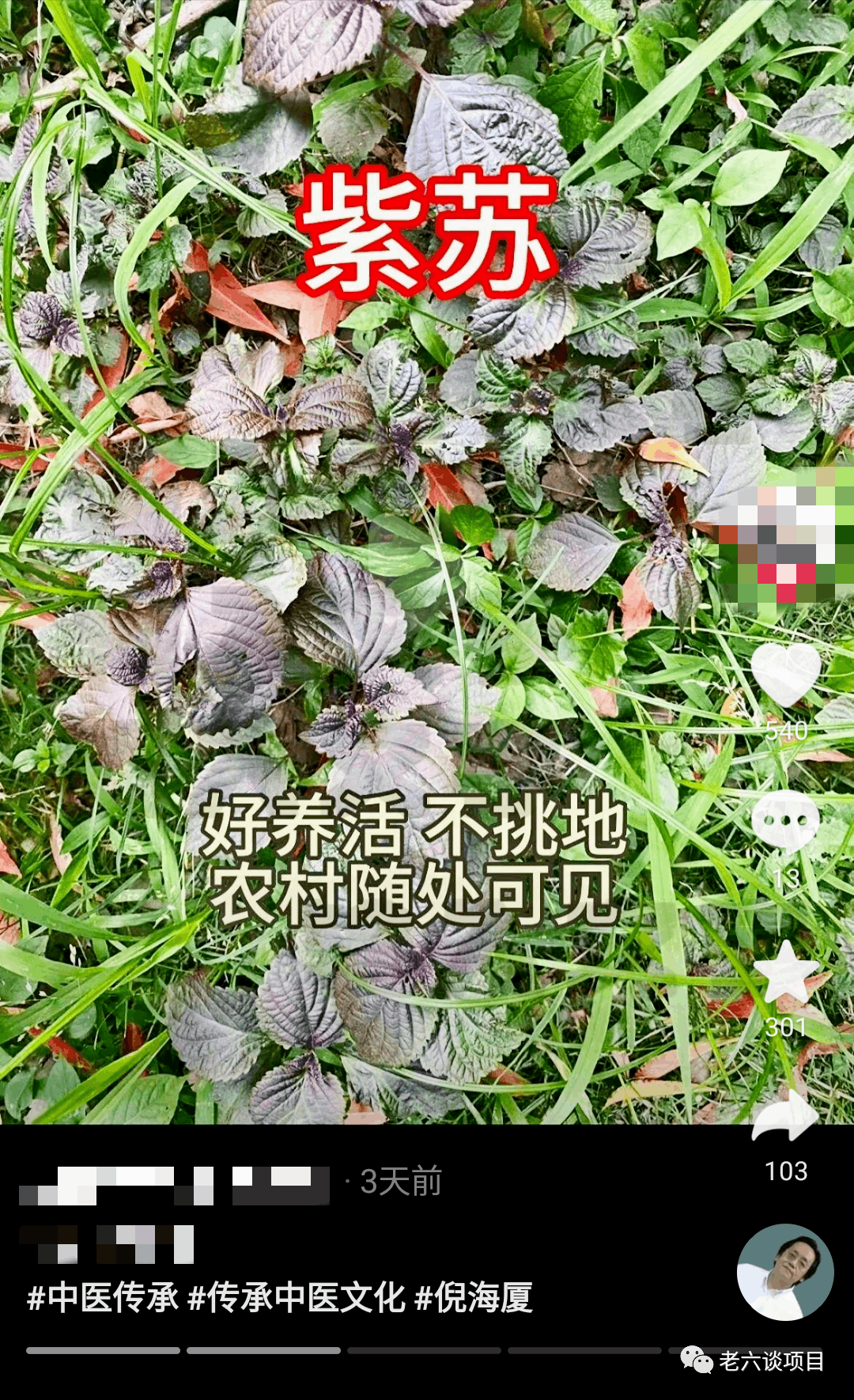 养生虚拟资料项目,每月赚5万,值得冲!