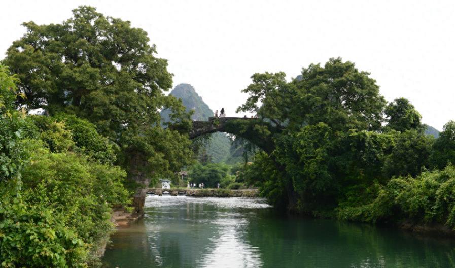 老年人关系友善之道：学会扬长避短，拥抱温暖