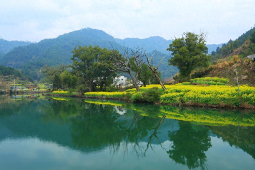 老年人关系友善之道：学会扬长避短，拥抱温暖