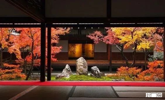 图片[2]-个人IP的成功密码：不是每个人都能轻松做到-猎富团