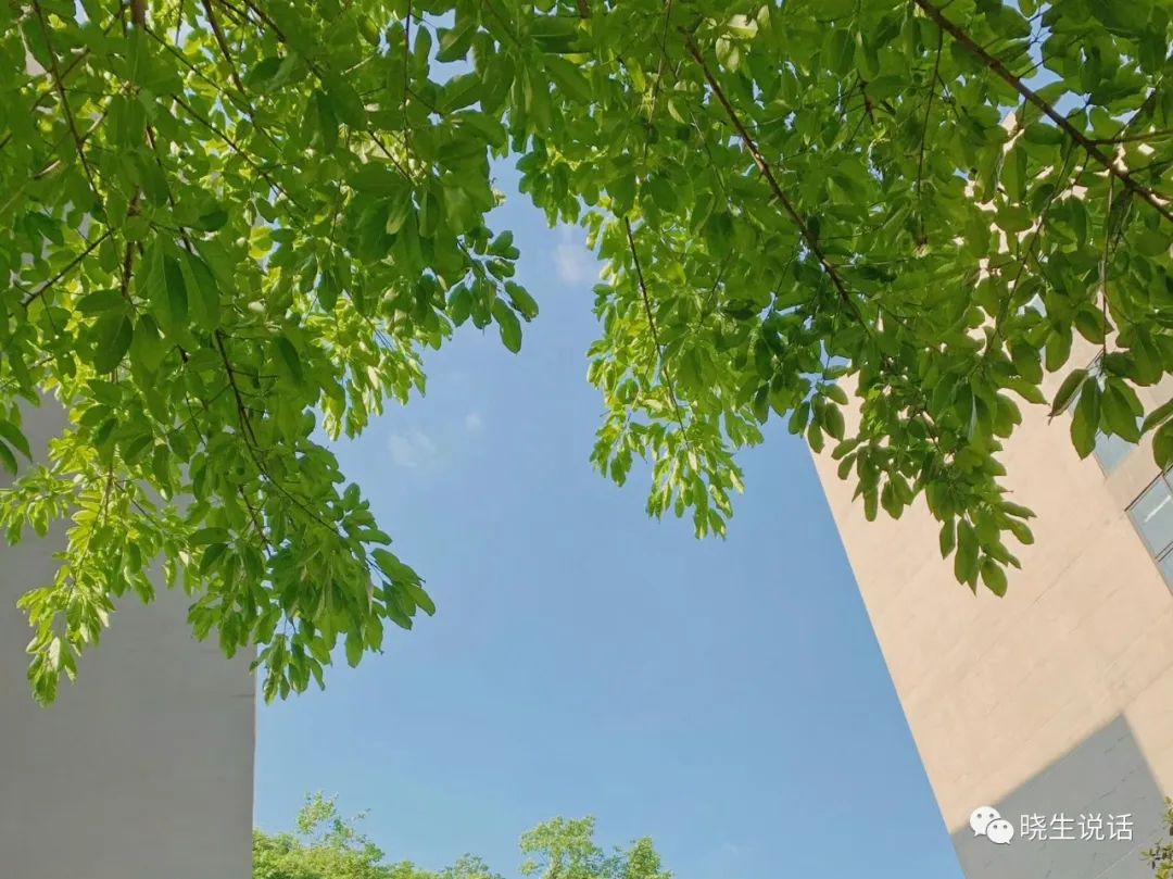 六个必须避免的个人IP误区,帮你实现自我突破!