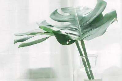 适合女人做的生意有哪些(4个适合女人干的生意) 适合女人做的生意有哪些(4个适合女人干的生意)