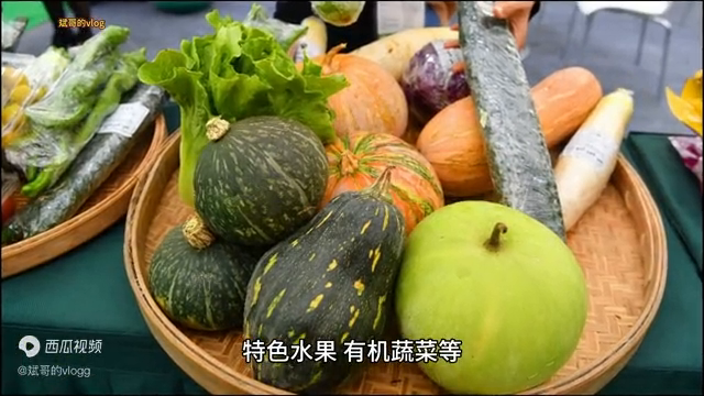 养什么前景好！养它就对了，赚钱又好卖！