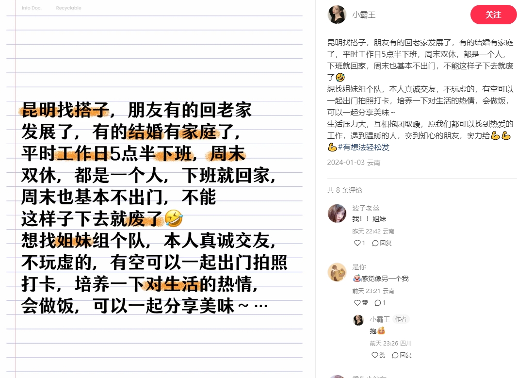 小红书热门搭子副业项目,图文号保姆教程