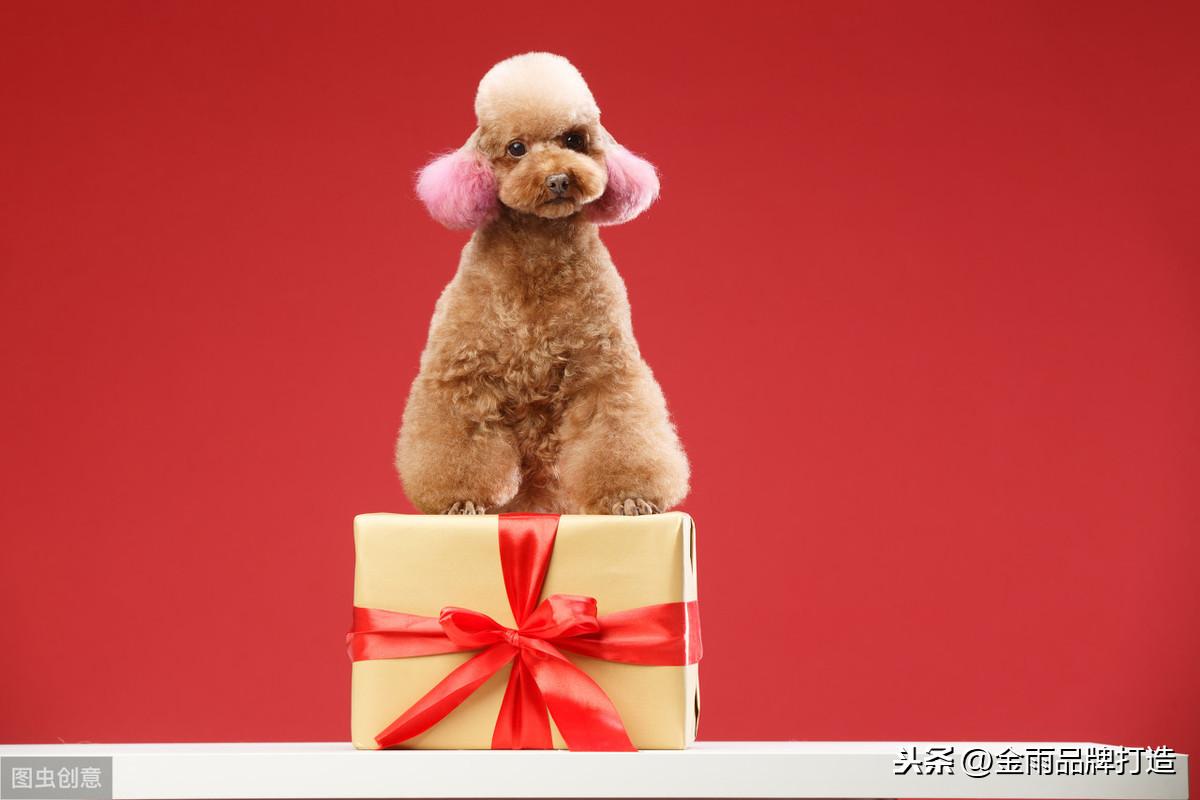 个性创意礼品店加盟（农村姑娘开生肖礼品店月赚到4万）