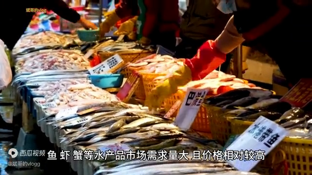 养什么前景好！养它就对了，赚钱又好卖！