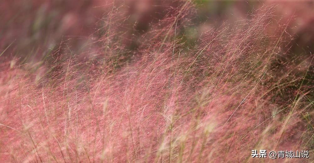 房地产税试点城市消息来了 房地产税试点城市消息来了