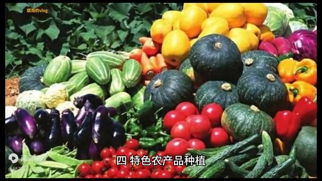 养什么前景好！养它就对了，赚钱又好卖！