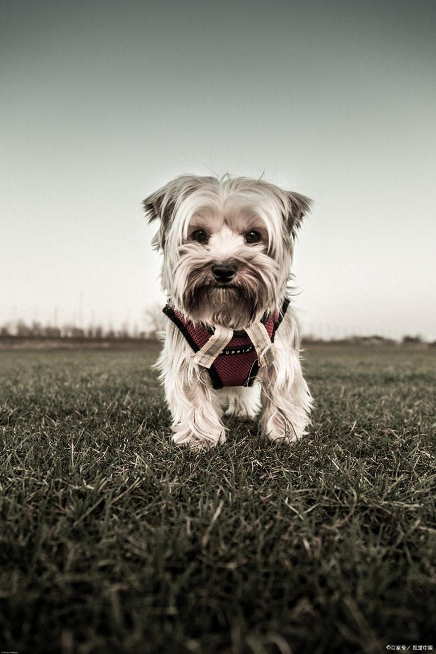 冷门创业好项目,没大本事也能干的10个冷门生意 冷门创业好项目,没大本事也能干的10个冷门生意