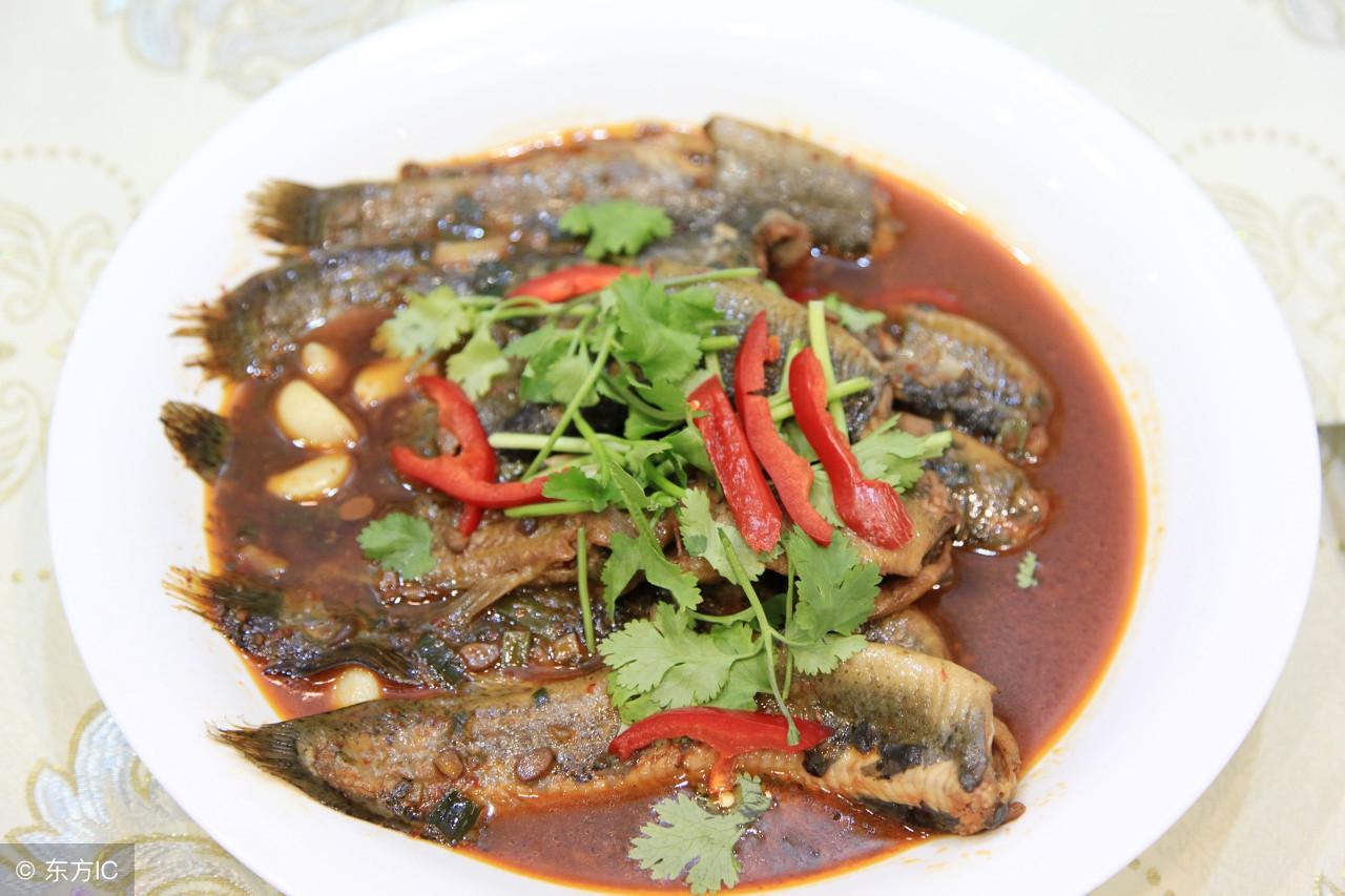 养殖创业网：养殖黄鳝年赚10万很轻松