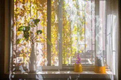 适合女人做的生意有哪些(4个适合女人干的生意) 适合女人做的生意有哪些(4个适合女人干的生意)