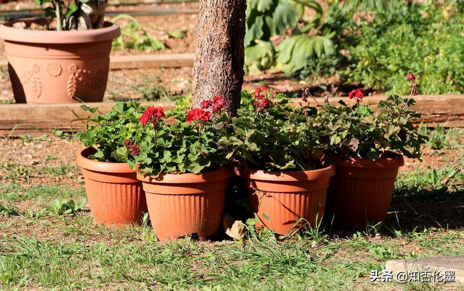 现在开个什么加工厂好,农村办这3个小型加工厂很“吃香” 现在开个什么加工厂好,农村办这3个小型加工厂很“吃香”