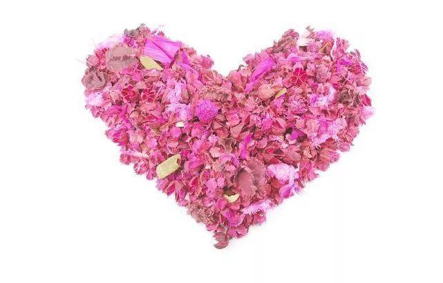 废物利用创业项目分类 利用变废为宝的十二个致富项目 废物利用创业项目分类 利用变废为宝的十二个致富项目