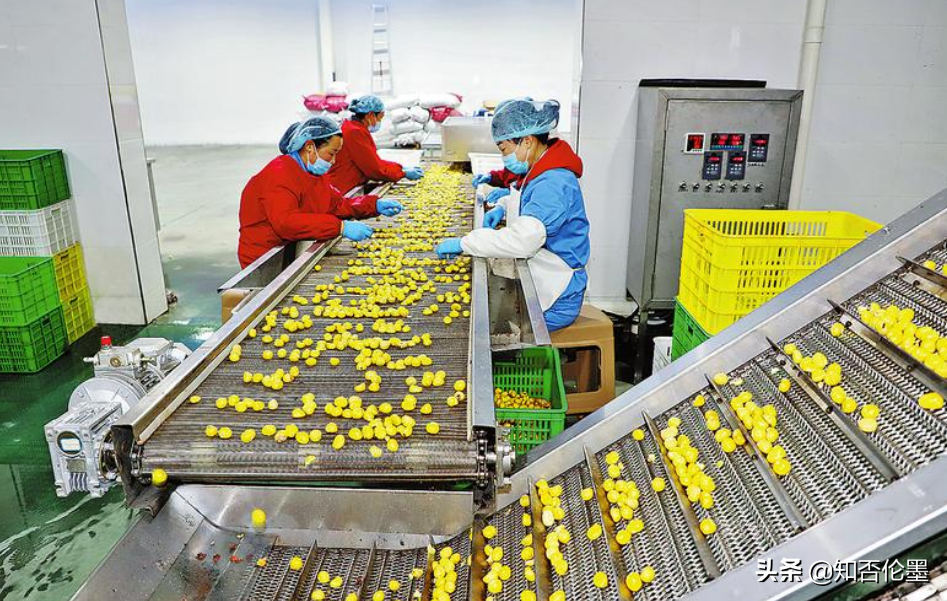 现在开个什么加工厂好,农村办这3个小型加工厂很“吃香” 现在开个什么加工厂好,农村办这3个小型加工厂很“吃香”