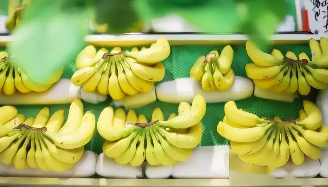 杭州一水果店开了二十几年只卖香蕉