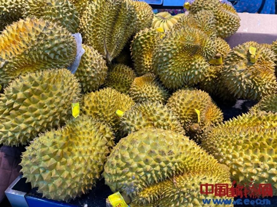 榴莲自由!突发跳水,已经“腰斩”!商家:一天一个价,可能还会跌 榴莲自由!突发跳水,已经“腰斩”!商家:一天一个价,可能还会跌