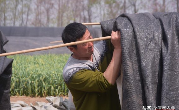 小本生意做什么好(自己做什么小生意最稳妥)