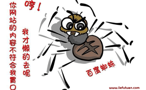 百度蜘蛛抓取（怎么增加网站蜘蛛爬取）SEO优化再也不做无用功