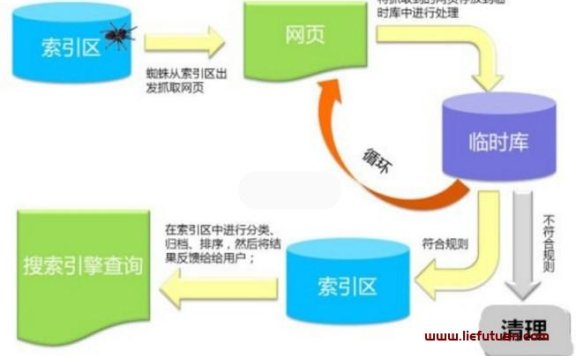 新手如何快速学会SEO优化网站排名