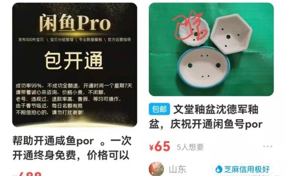 有人售价488的闲鱼开通PRO教程