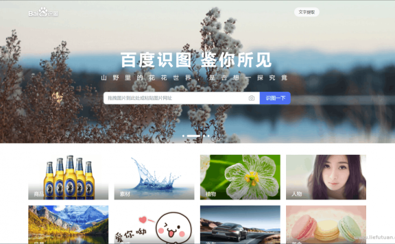 百度图片搜索引擎:百度识图-以图搜图,查找图源及相似图