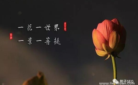 微信公众号SEO怎么做？快速获取微信SEO流量！