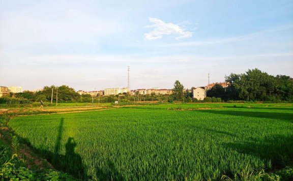 公众号有哪些引流涨粉的方法？多种引流推广吸粉方案