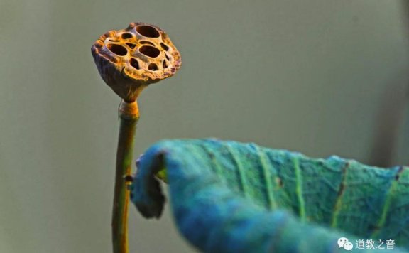 修身养性什么意思：你真的会修身养性吗？千万别成为“形式主义”