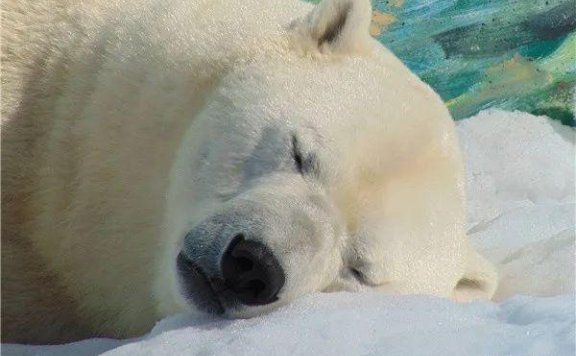 推荐几个引爆全网的0成本低风险的创业项目