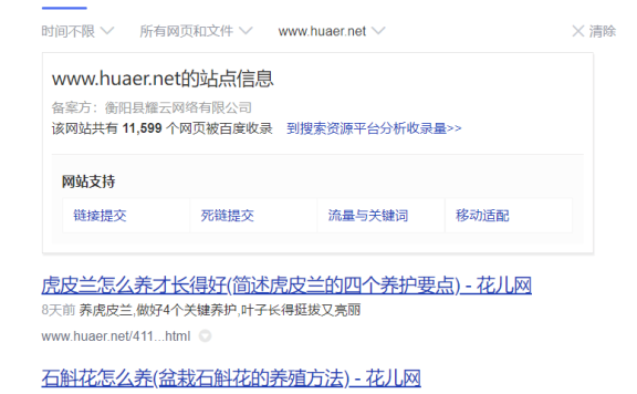冯耀宗：关于site查询的误区和site在seo优化应用中的小技巧！