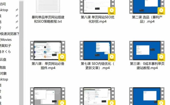 【会员课04】暴利单品单页网站项目和SEO策略