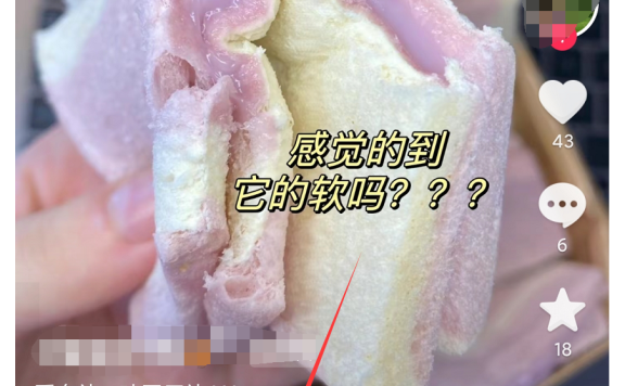 39000粉丝带来100万营业额!半年赚50万纯利润!图文带货创业,你也可以做到!