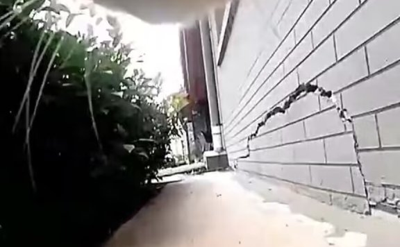 猫脖子装摄像头,在线直播5000+,猫第一视觉直播赚钱