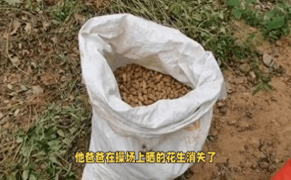 “雀”实不错!男子晒花生10分钟被鸟吃光