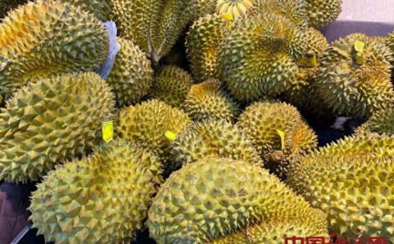 榴莲自由！突发跳水，已经“腰斩”！商家：一天一个价，可能还会跌